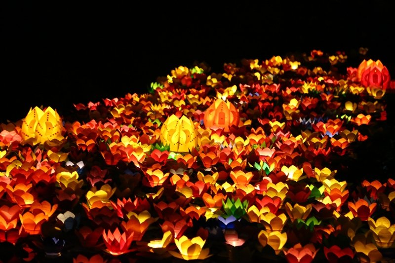 ĐÈN HOA ĐĂNG ĐÈN HOA ĐĂNG